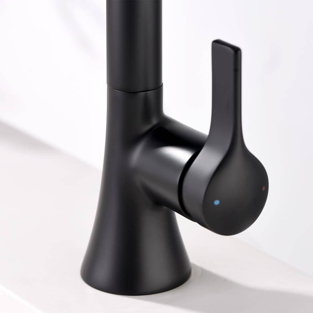 Matte Black Single Hole Bathroom Faucet with Drain Assembly