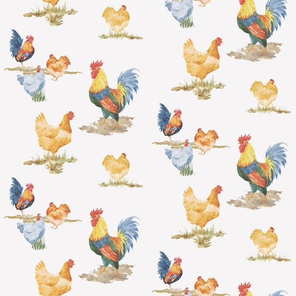 Chicken Food Wallpapers - Wallpaper Cave