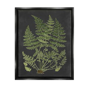 Botanical Drawing Green Black Design by Lettered and Lined Floater Frame Nature Wall Art Print 21 in. x 17 in. .