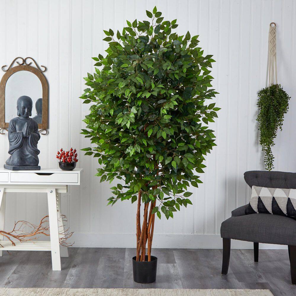 6.5' Green Silk Ficus Tree in Black Pot