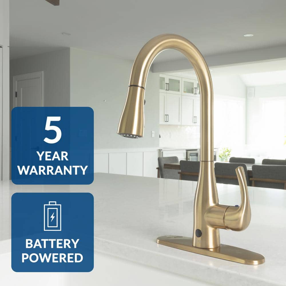 Champagne Brushed Nickel Pull-Down Kitchen Faucet with Spray