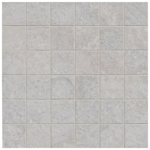 MSI Sevres Desert Amber Beige 12 in. x 12 in. Matte Porcelain