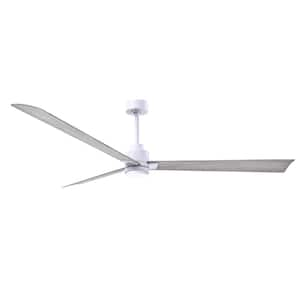 Alessandra 72 in. Integrated LED Indoor/Outdoor White Ceiling Fan with Remote Control Included