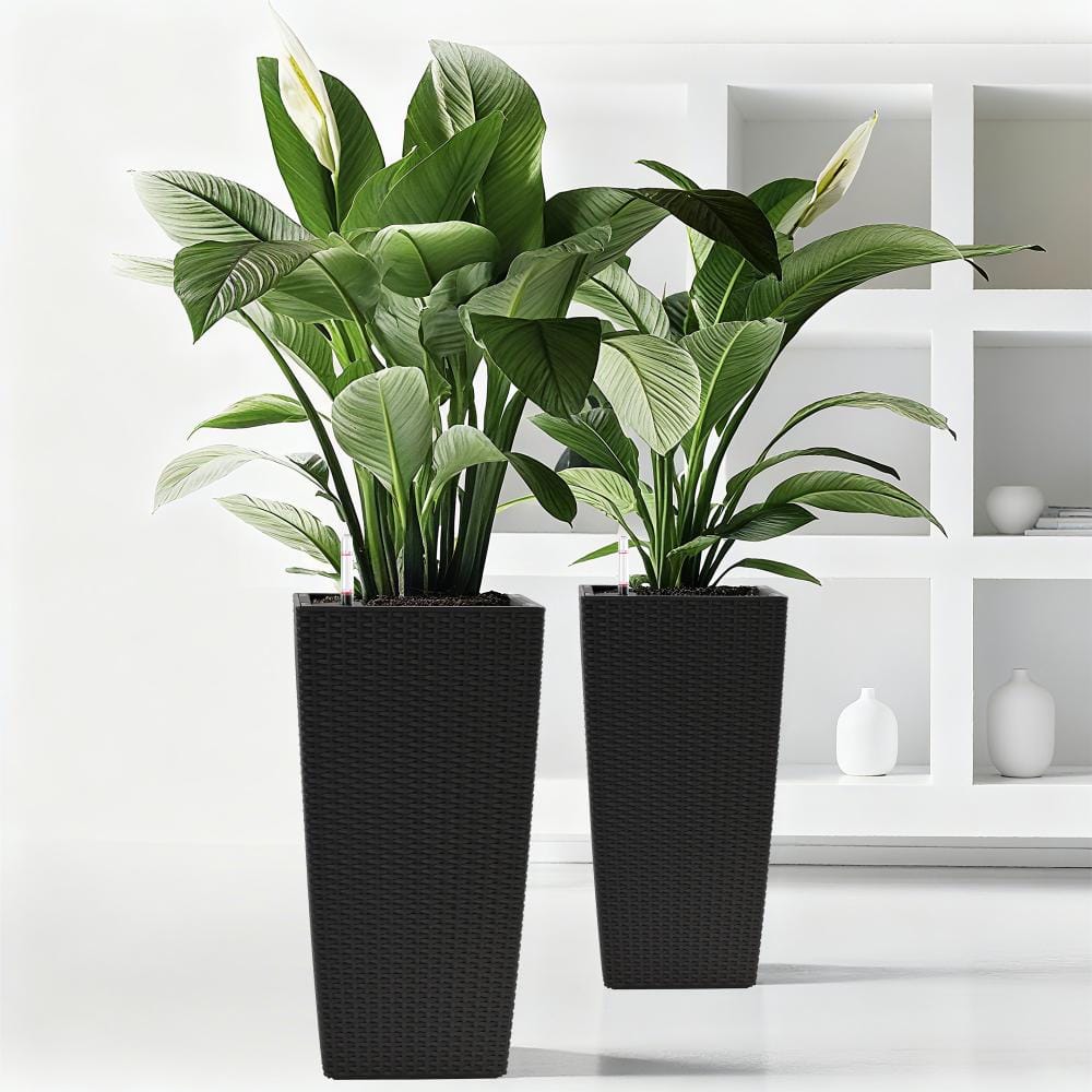 2Pcs 22 Inch High Square Faux Rattan Self-Watering Garden Planter｜Set price history on PriceWatchPro
