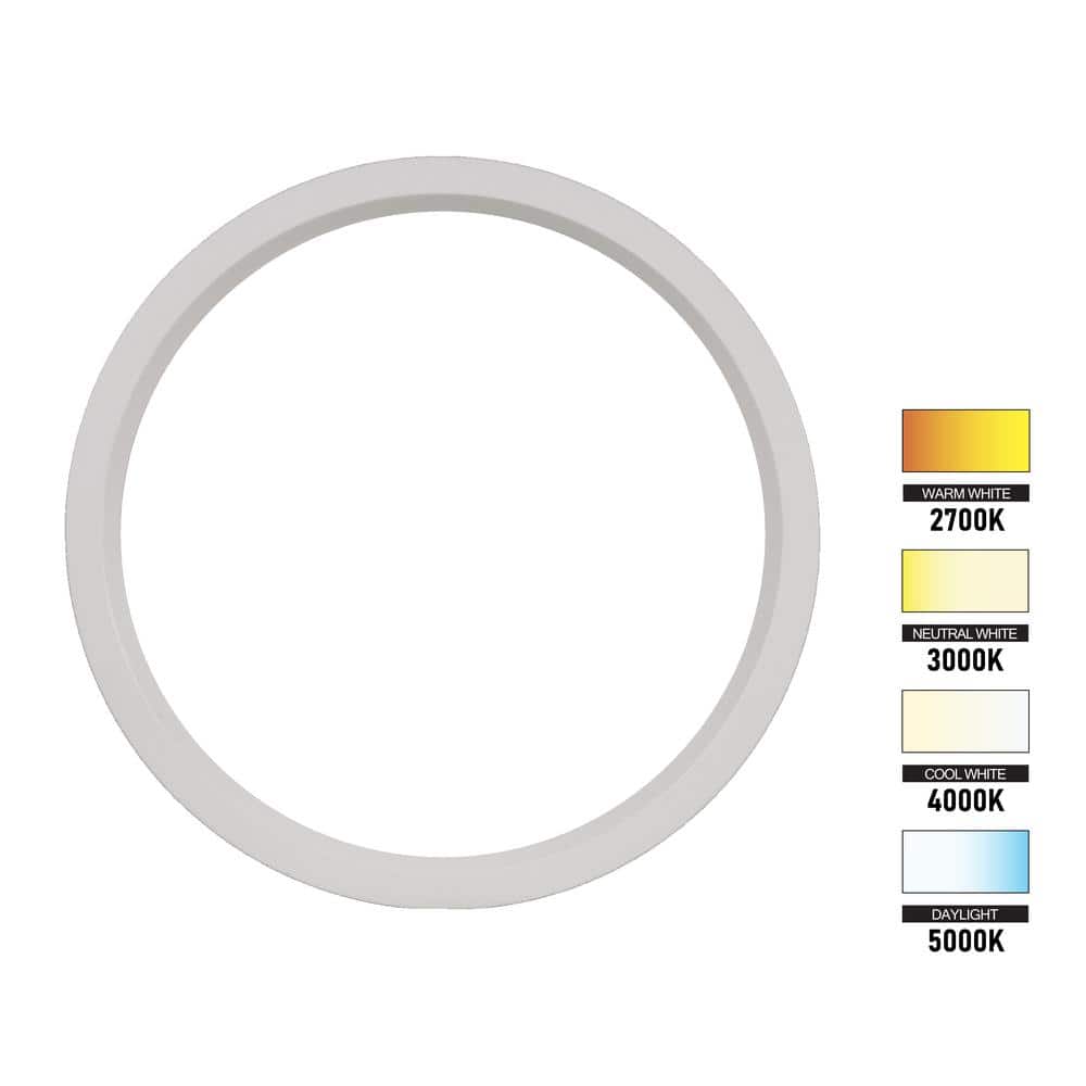 Matte White 5.35" Round LED Surface Mount Downlight, Energy Star Modern