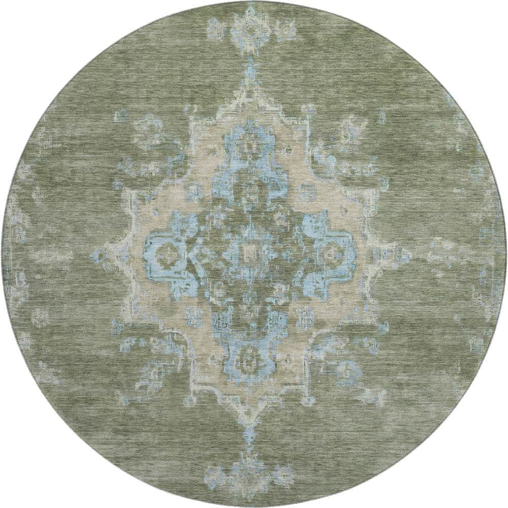 Mayfield Premium Machine Washable Abstract AMF2321 Basil 8 ft. x 8 ft. Round Rug price history on PriceWatchPro