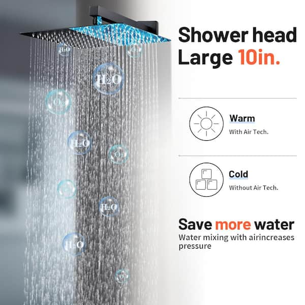 Rain Single Handle 2-Spray 10 in. Shower Faucet Handheld Combo with Valve 1.8 GPM Adjustable Dual Shower Heads in Black