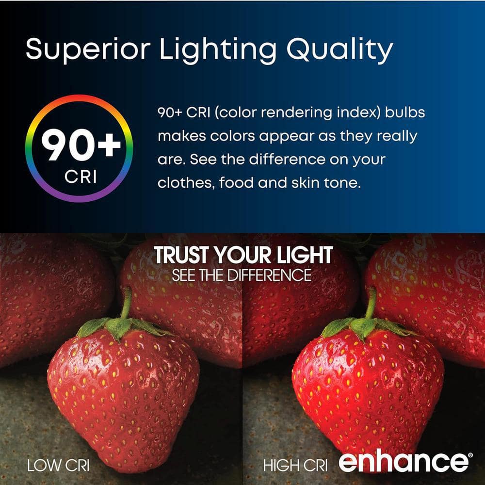 Feit Electric Soft White Frosted LED Bulbs, 40W Equivalent, 2-Pack