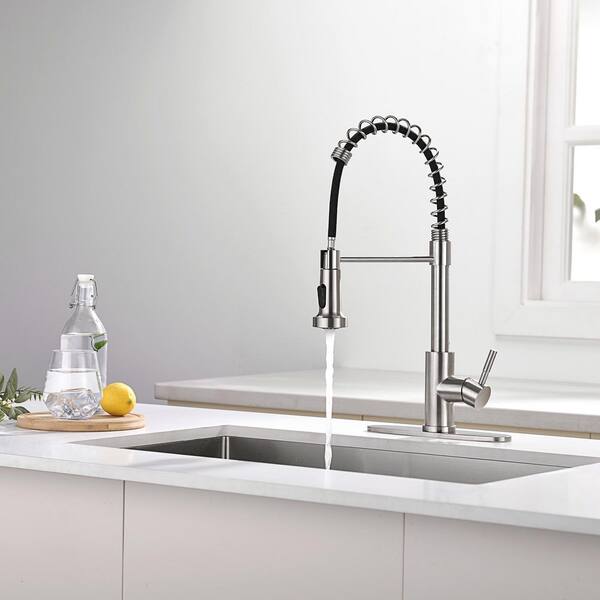ruiling Spring 18.5 in. Single Handle 2-Mode Pull Down Sprayer
