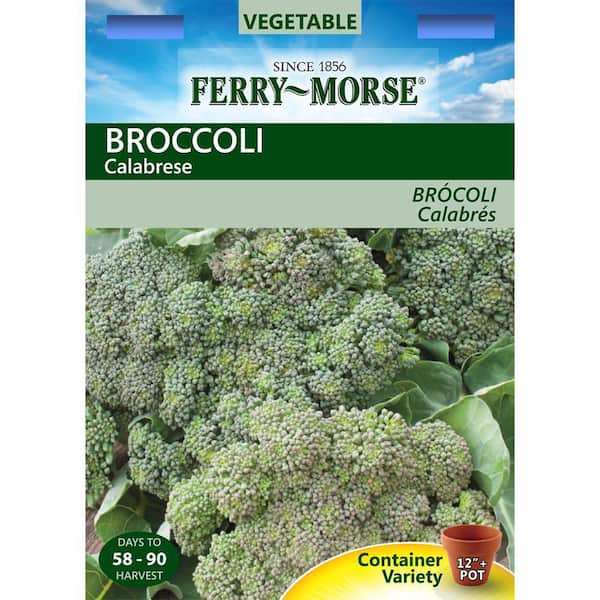 Ferry-Morse Broccoli Calabrese Vegetable Seeds