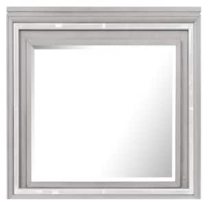 Padua 49 in. W x 40 in. H Rectangle Framed Washed Gray Dresser Mirror