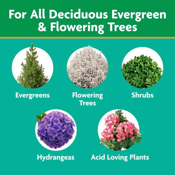 18/36Pcs Plant Fertilizers Sticks Plant Fertilizers For