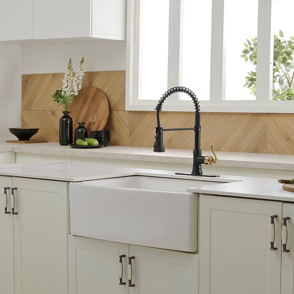 Matte Black and Gold High-Arc Kitchen Faucet with Pull-Out Spray