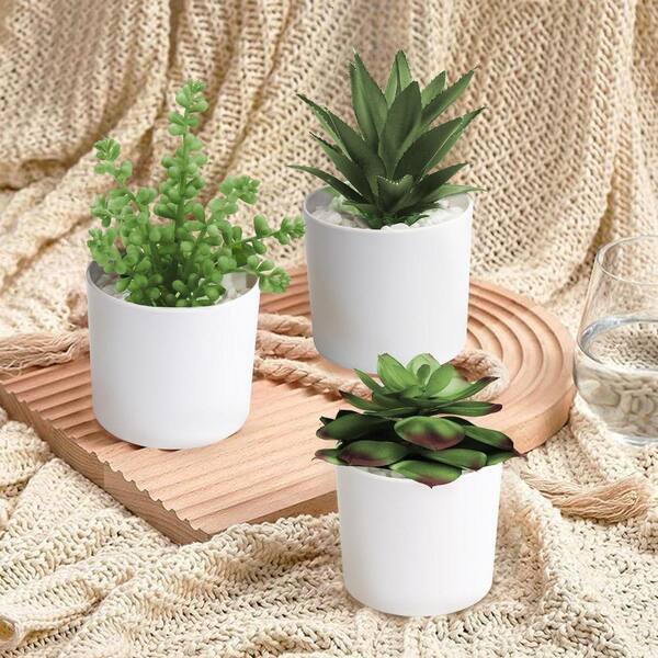 3 Pack 4.9 in. Potted Artificial Succulents in Elegant White Vases