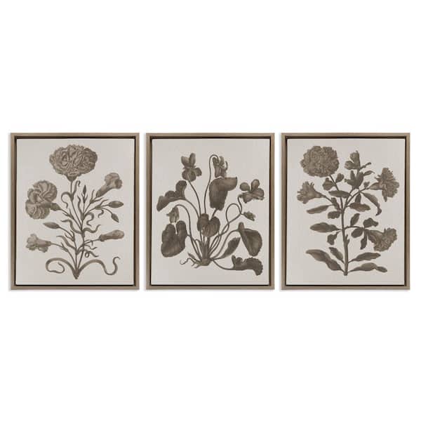 Stupell Industries Vintage Country Botanicals by Lil' Rue 3 Pieces Brown Floater Frame Nature Graphic Art Print 21 in. x 17 in.