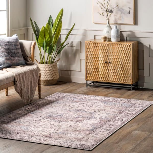 Sharyn Traditional Vintage Cotton Area Rug Rust 4 ft. x 6 ft. Area Rug