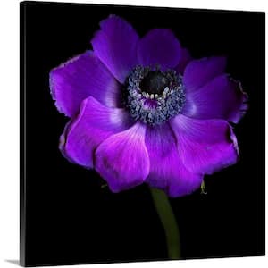 "Purple Anemones Heart" by Magda Indigo Canvas Wall Art