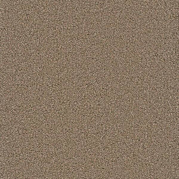 Lifeproof Carpet Sample - Harvest III - Color Maxwell Texture 8 in. x 8 in.