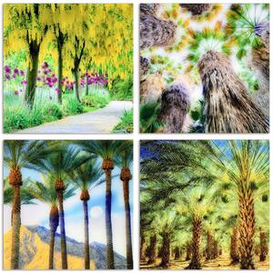 "Palm Tree Groves" Frameless Free Floating Reverse Printed Tempered Glass Nature Scapes Wall Art, 20 in. x 20 in.