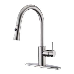 Euro Single-Handle Pull-Down Sprayer Kitchen Faucet with Accessories in Rust and Spot Resist in Brushed Nickel