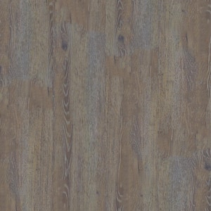 Take Home Sample - EverLux XXL 8.75 in. W x 12 in. L Grizzly Bear Brown Click Lock Luxury Vinyl Plank Flooring