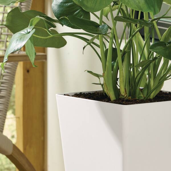 Vigoro Harmony Modern Matte White Plastic Square Planter (11.5 in. L x 11.5  in. W x 20 in. H) PPS11500A10 - The Home Depot