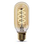 40-Watt Equivalent T14 Dimmable Spiral Filament Amber Glass E26 Vintage Edison LED Light Bulb, Warm White