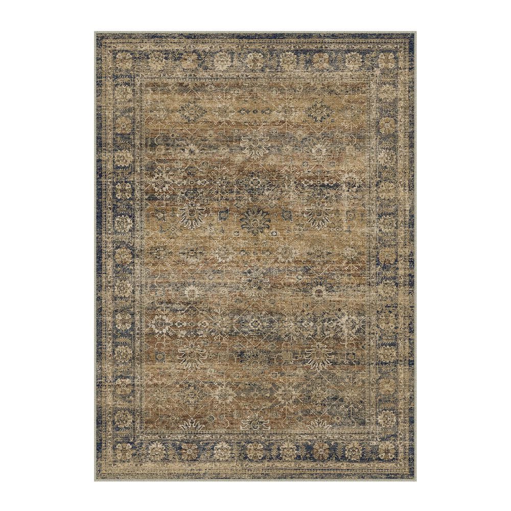 Oasis Secret Brown 8 ft. x 10 ft. Distressed Vintage Floral Area Rug price history on PriceWatchPro