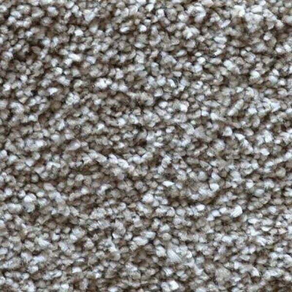 Lifeproof Carpet Sample - Refined Manner II - Color Quincy Texture 8 in. x 8 in.