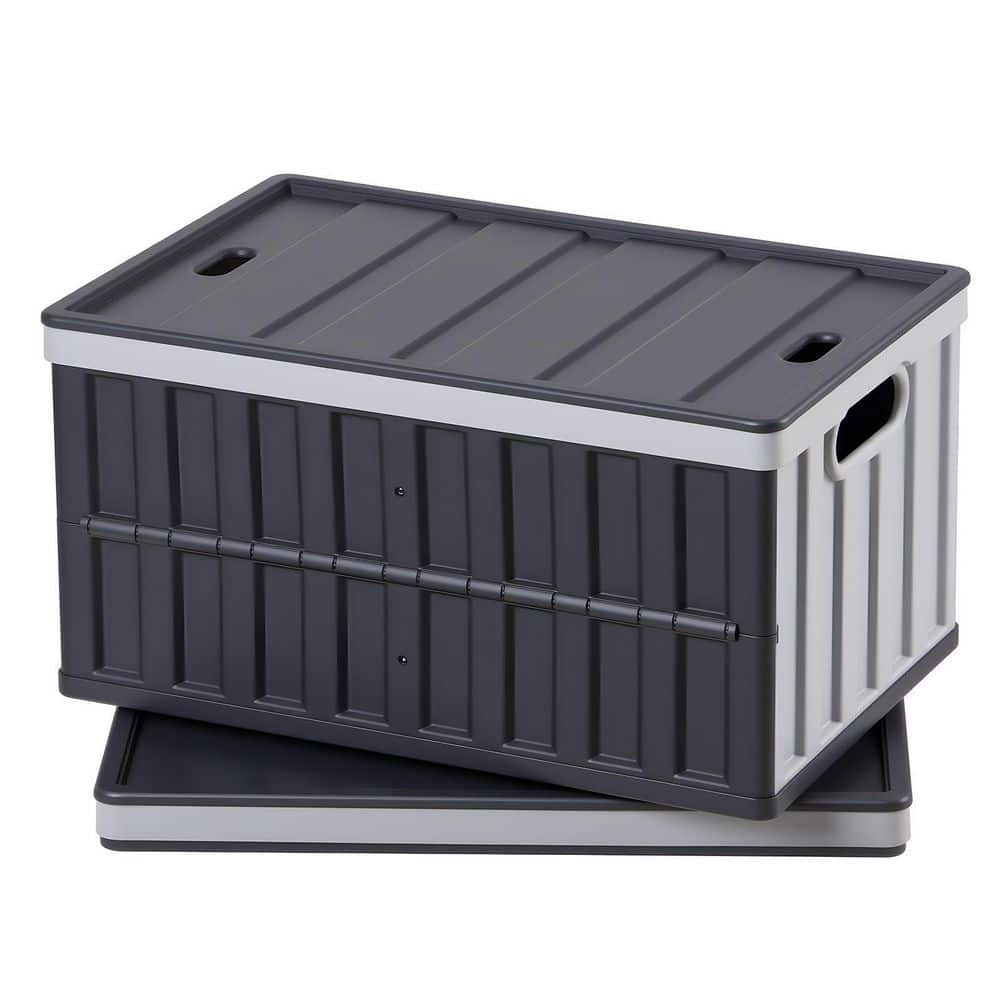 Plastic Foldable Storage Bins w/ Lids, 65 L Set of 2, Stackable Containers w/ Handles Space-Saving Solution 2025, Update price history on PriceWatchPro