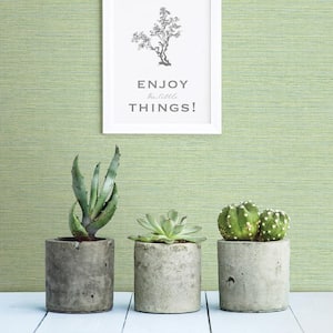 Agave Green Faux Grasscloth Green Wallpaper Sample
