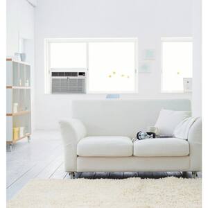 6,000 BTU 115-Volt Window Air Conditioner LW6017R Cools 250 Sq. Ft. with Remote