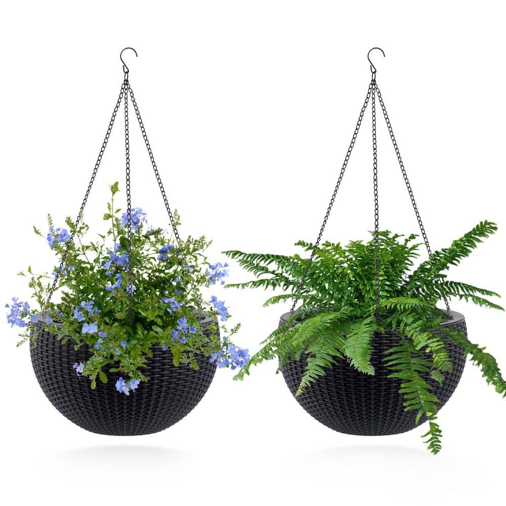 Home Depot Hanging Basket