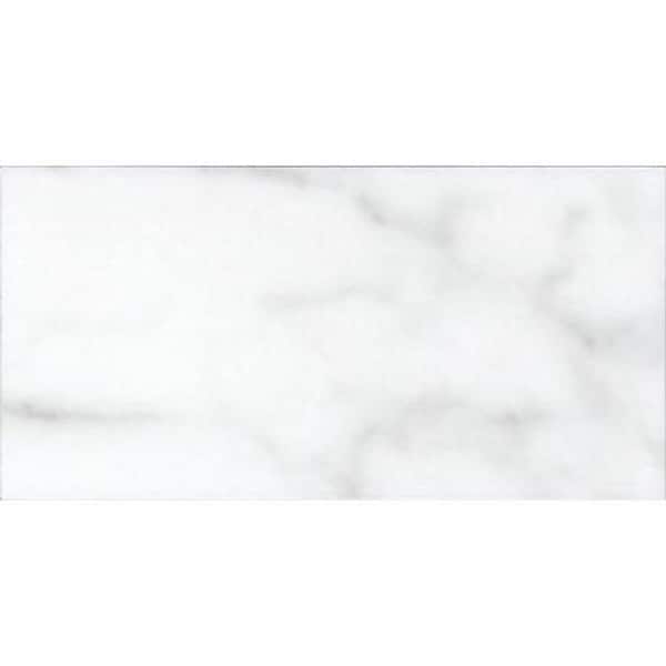 Apollo Tile White 4 in. x 5 in. Polished Marble Subway Tile Sample (0.13 sq. ft./Piece)