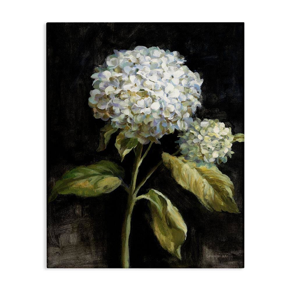 Hydrangea on Black by Danhui Nai Unframed Nature Graphic Art Print 40 in. x 30 in. price history on PriceWatchPro