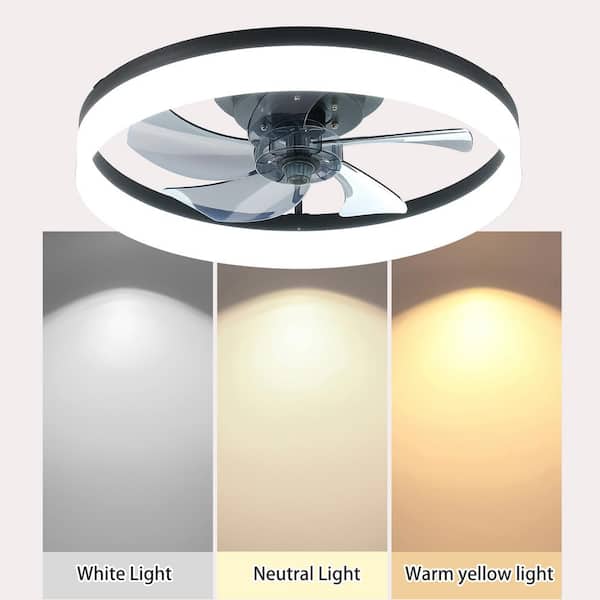 Oaks Decor Cotti 20-in Black Color-changing Integrated LED Indoor Flush  Mount Ceiling Fan with Light and Remote (7-Blade) in the Ceiling Fans  department at