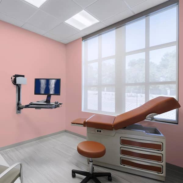 1 gal. #150E-3 Calico Rose Dead Flat Interior Paint