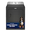 Maytag 7.0 cu. ft. vented Top Load Electric Dryer in Volcano Black with Pet Pro Option MED5605RU