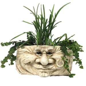 10.5 in. Grandpa Old Hickory Ant. White the Muggly Tree Face Wall Planter