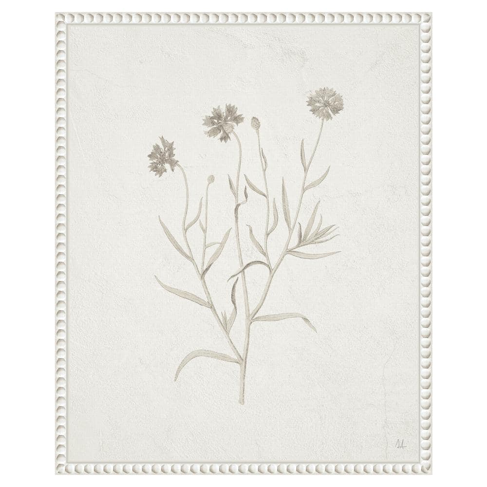 16"x20" White Framed Botanical Canvas Print with Beaded Perimeter