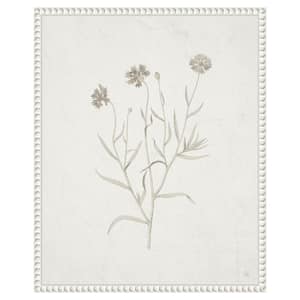 "Plants from the Meadow V" by Sarah Adams 1-Piece Floater Frame Giclee Home Canvas Art Print 20 in. x 16 in.