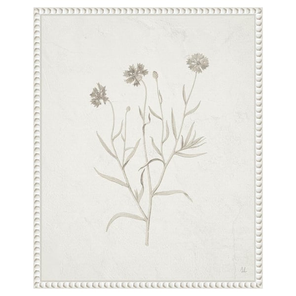 Amanti Art "Plants from the Meadow V" by Sarah Adams 1-Piece Floater Frame Giclee Home Canvas Art Print 20 in. x 16 in.
