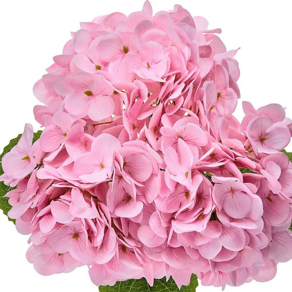 Have a question about Regency International 18 in. Pink Artificial