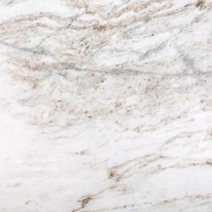 Marble Kalta Fiore Polished 32.01 in. x 32.01 in. Marble Floor and Wall Tile (7.11 sq. ft.)