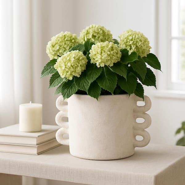 Liv & Skye White Ceramic Arch Handle Decorative Planter (13 in. W