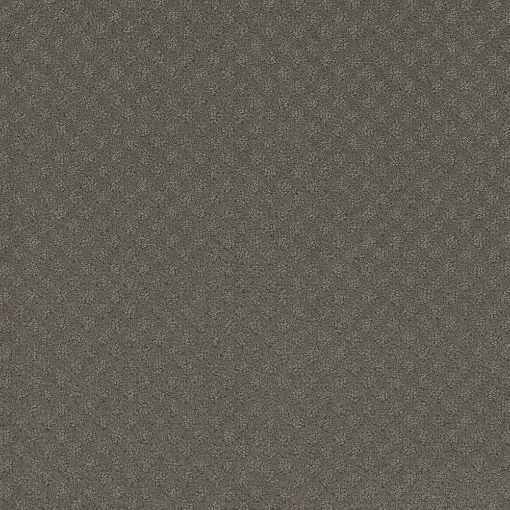 8 in. x  8 in. Loop Carpet Sample - Camelia Lane -Color Bayberry price history on PriceWatchPro