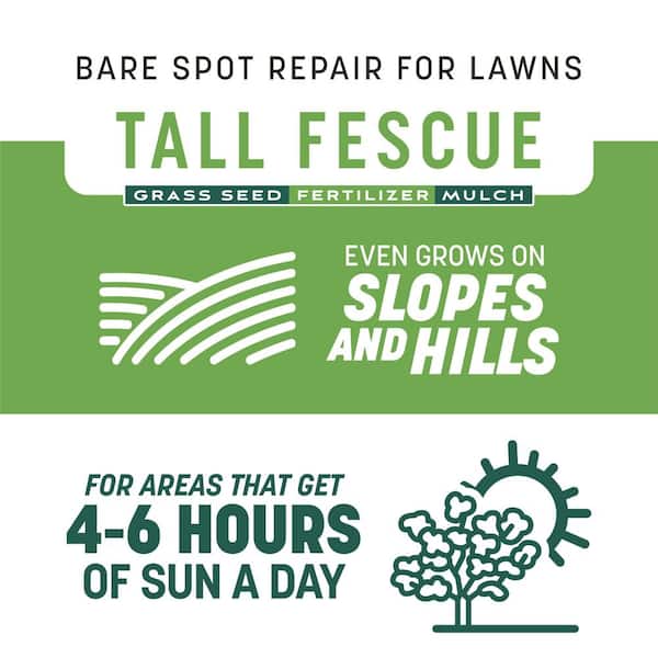 Smart Patch Tall Fescue 5 lb. 100 sq. ft. Grass Seed Bare Spot Repair with Mulch and Fertilizer