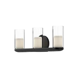 Birch 19-in 1 Light 25-Watt Black/Clear Integrated LED Vanity Light