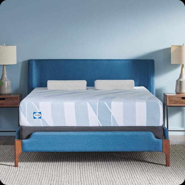 Sealy Dreamlife King Medium Memory Foam 10 in. Bed-in-a-Box Mattress