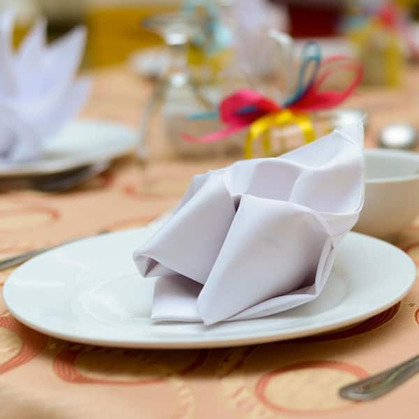 https://images.thdstatic.com/productImages/f348482f-8546-45ff-a4ea-0d0b11ee3d83/svn/whites-fab-glass-and-mirror-cloth-napkins-napkin-rings-npk-wsl6p-e1_600.jpg